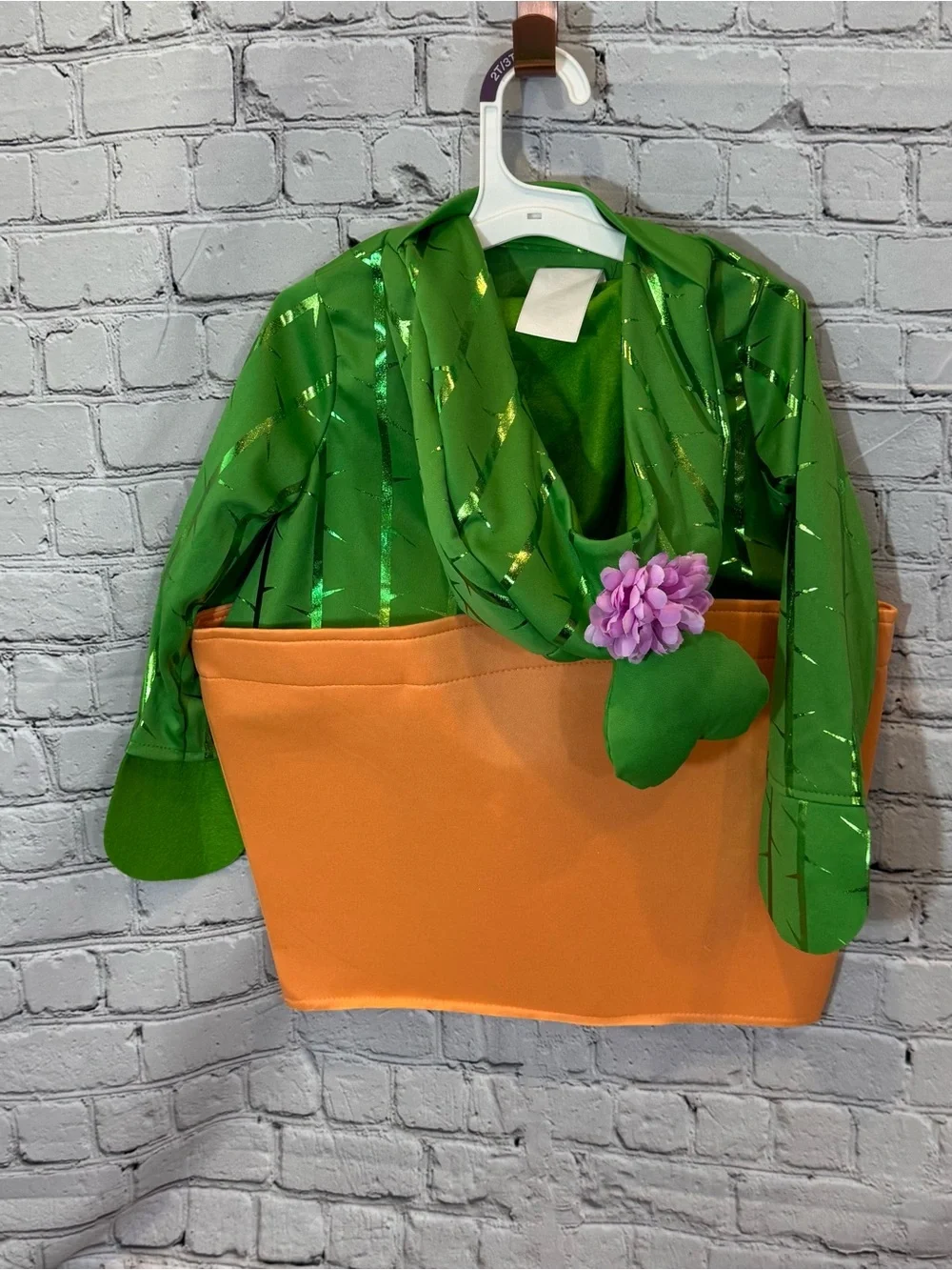 Target Hyde & EEK Potted Cactus Toddler Costume